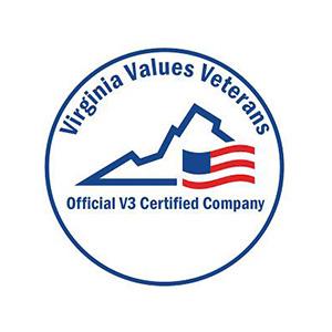 v3 logo